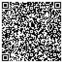 QR code with Pure Flow Systems contacts