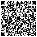 QR code with Premiere Co contacts