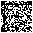 QR code with Princeton Review contacts