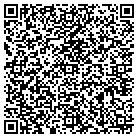QR code with Baddley Chemicals Inc contacts
