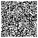 QR code with Central Hair Design contacts