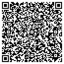 QR code with Professional Security contacts