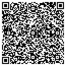 QR code with Cosmetic Connection contacts