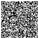QR code with Bluesky Renovations contacts