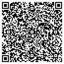 QR code with Carlos A Irzarry MD contacts