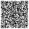 QR code with Dalili contacts