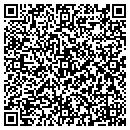 QR code with Precision Setting contacts