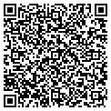 QR code with Buckle contacts
