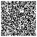 QR code with Cyber Design Group Inc contacts