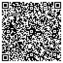 QR code with Cayuga Communications contacts