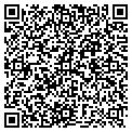 QR code with Town Collector contacts