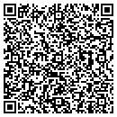 QR code with Cronin Group contacts