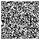 QR code with Chameleon Interiors contacts