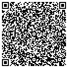 QR code with Pump Systems Unlimited contacts