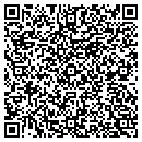 QR code with Chameleon Construction contacts