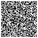 QR code with Puzzlebox Training contacts