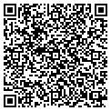 QR code with Cocoon contacts