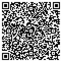 QR code with Ballys contacts