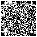 QR code with Carpet Guardian Inc contacts