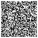QR code with Pulgini & Norton LLP contacts