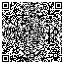 QR code with Pure 1 Systems contacts
