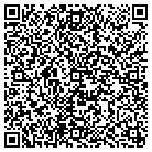 QR code with Professional Insulation contacts