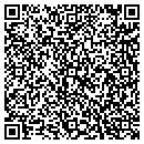 QR code with Coll Consulting Inc contacts