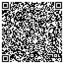 QR code with Cesar Color Inc contacts