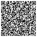 QR code with Cape Cod Networks Inc contacts
