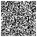 QR code with Public Works contacts