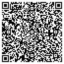 QR code with Carson Consulting Inc contacts