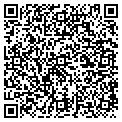 QR code with STGC contacts