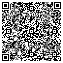 QR code with Cronin Asphalt Corp contacts