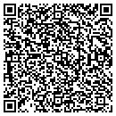 QR code with Professional Fence contacts