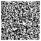 QR code with Chapin Consulting Group Inc contacts