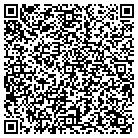 QR code with Pulse Cycling & Fitness contacts