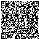 QR code with Progress Insulation contacts