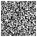 QR code with Pulse Trading contacts
