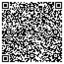 QR code with Carver Design Group LTD contacts