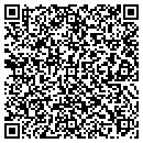 QR code with Premier Image Gallery contacts