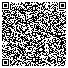 QR code with Professional Audio Design contacts