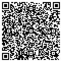 QR code with Tecdoc contacts