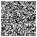 QR code with Cardio Tech Intl Inc contacts