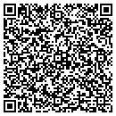 QR code with Professional Search contacts