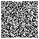 QR code with Premier Tech Solutions contacts