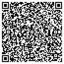QR code with Cambridge Soundworks contacts