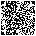 QR code with Caldor contacts