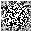 QR code with Precision Wash & Dry contacts
