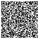 QR code with Punyamutual Kishore contacts