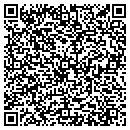 QR code with Professional Plastering contacts